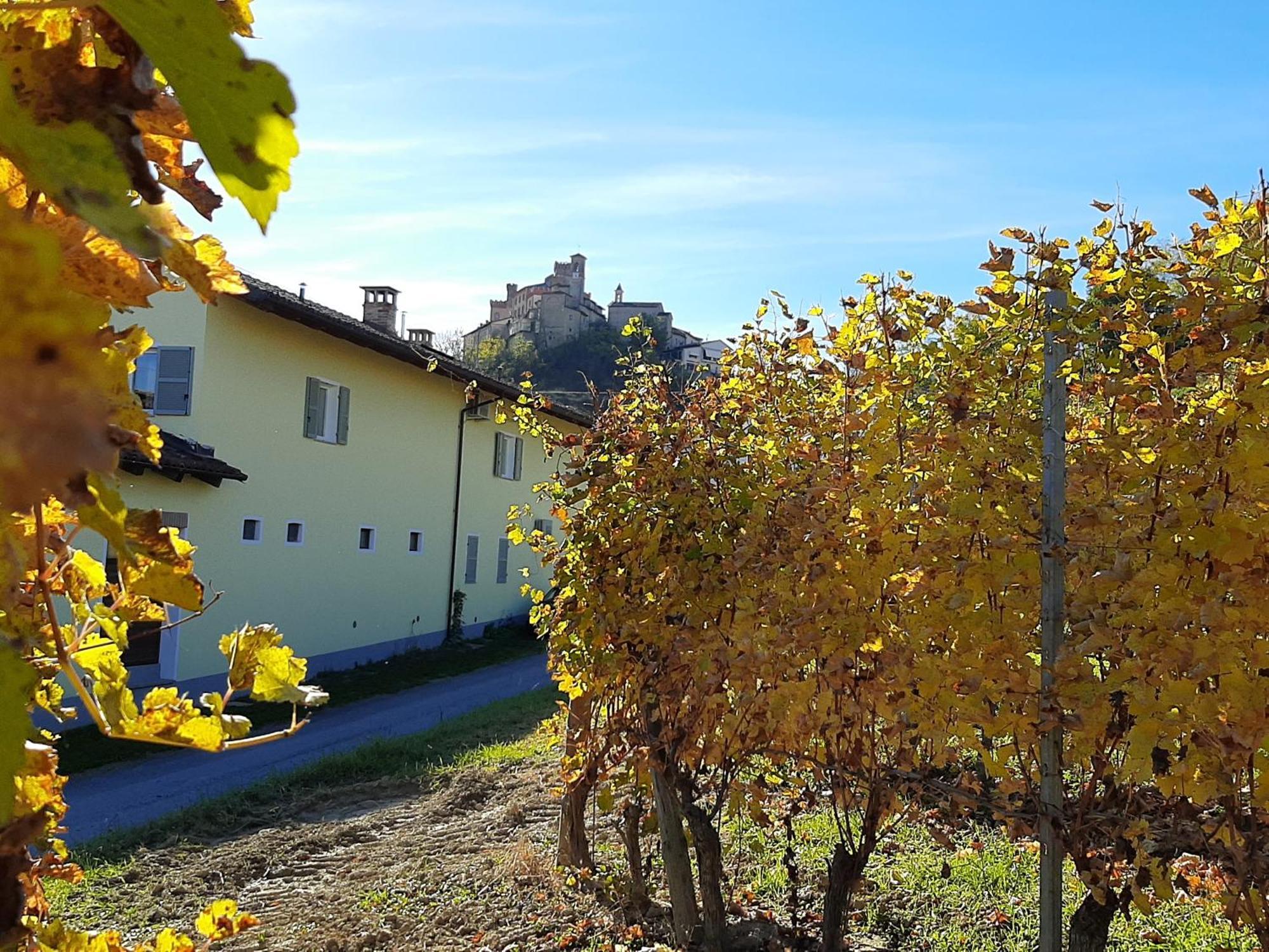 Ciabot Delle Aie - Barolo Appartement Buitenkant foto